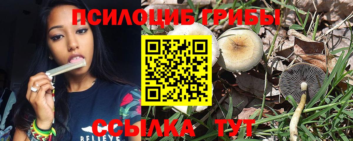 Иваново  Псилоцибиновые грибы GOLDEN TEACHER  Вход с VPN 
